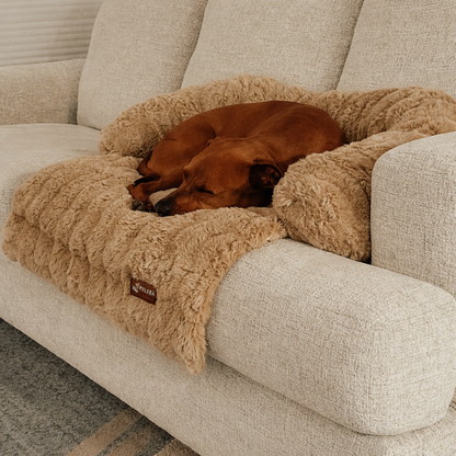 CosyPaws™ - Cuccia Lussuosa XL per Divani e Letti