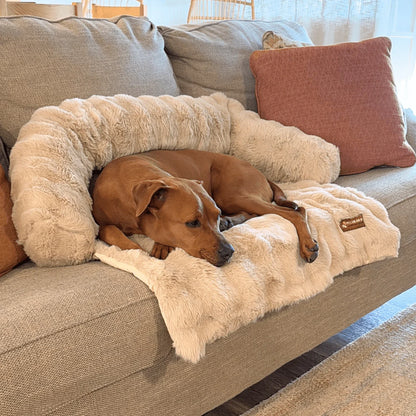 CosyPaws™ - Cuccia Lussuosa XL per Divani e Letti